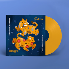 Load image into Gallery viewer, Color Vinyl - A Night In Nepantla