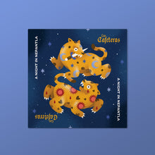 Load image into Gallery viewer, Color Vinyl - A Night In Nepantla